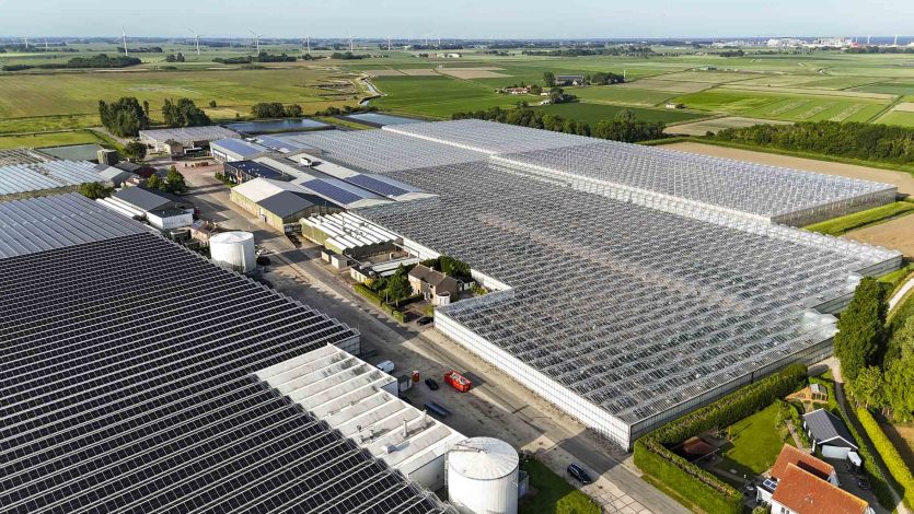 Innogreens Sexbierum